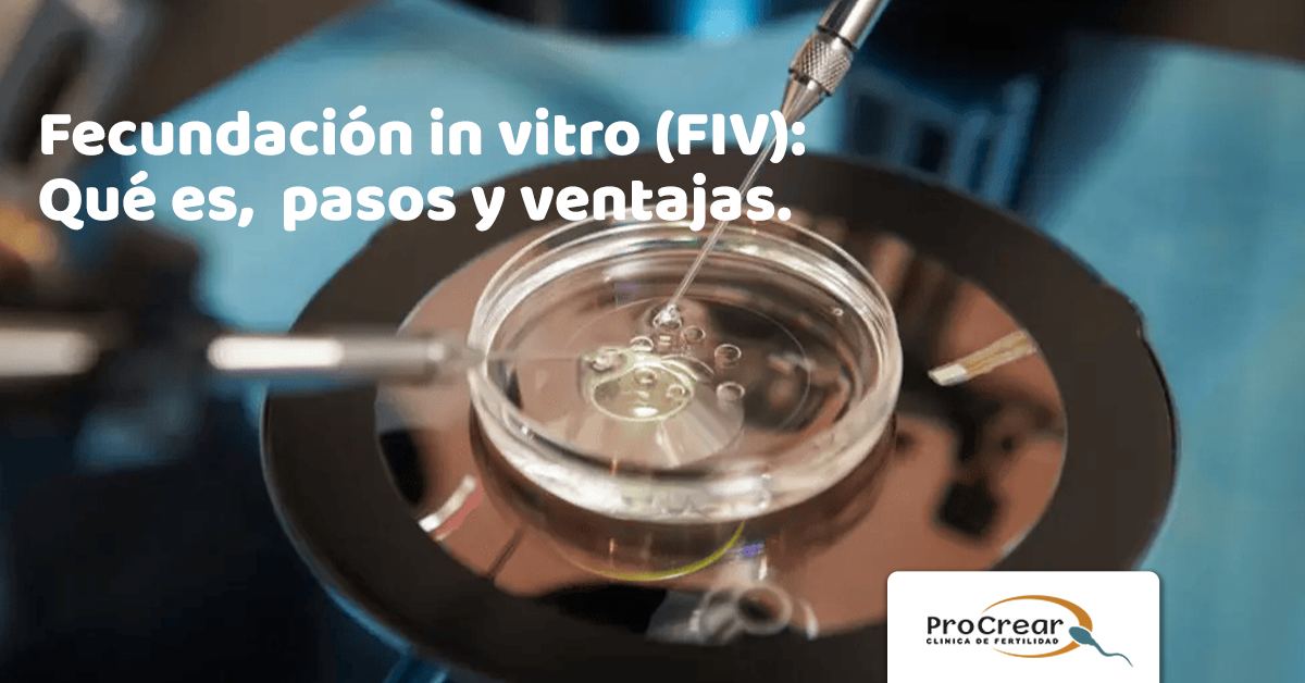 Fecundación In Vitro Fiv Qué Es Pasos Y Ventajas Procrear